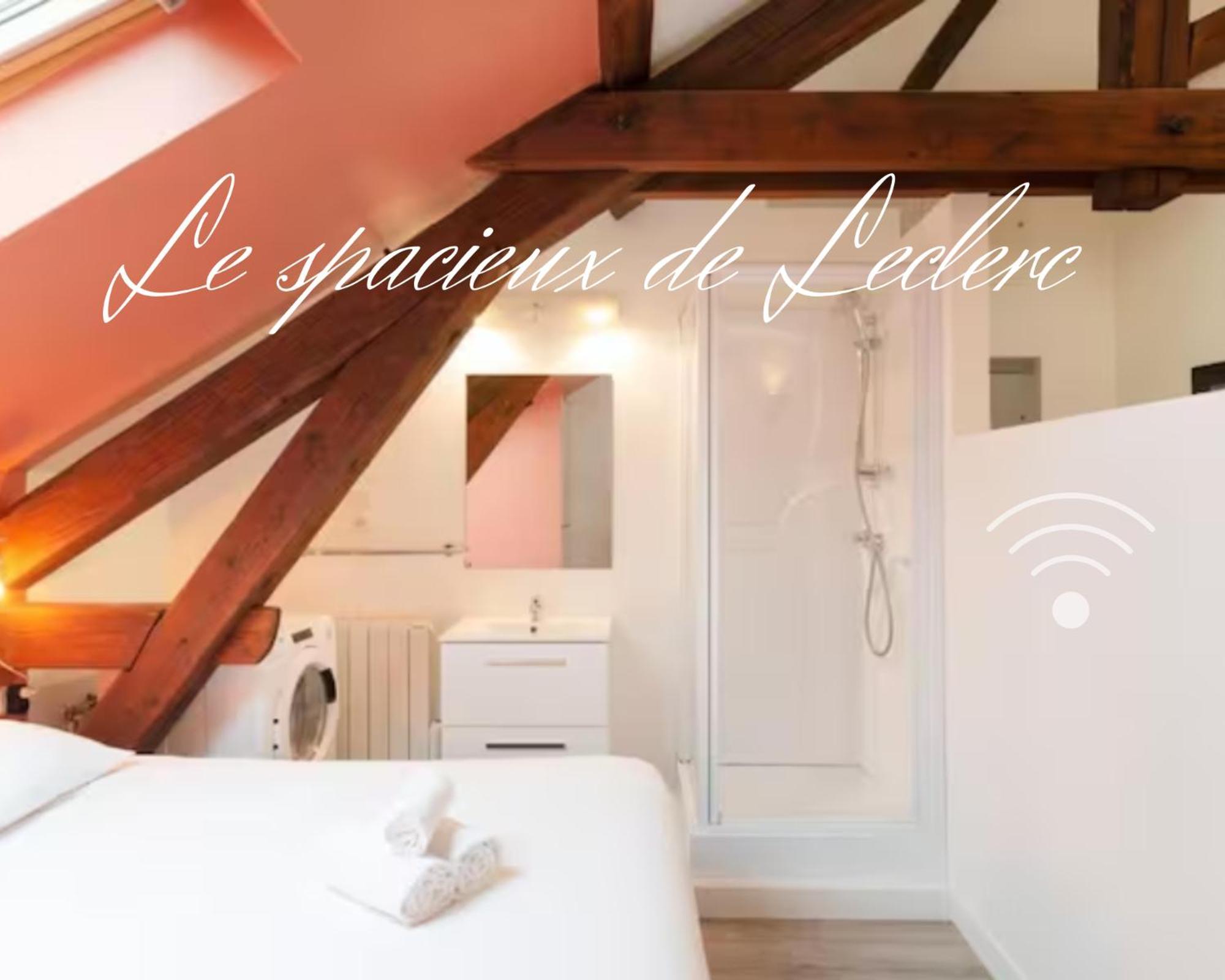 Residence Leclerc - Appartements D'Hotes - Secteur Thermal Nancy Szoba fotó