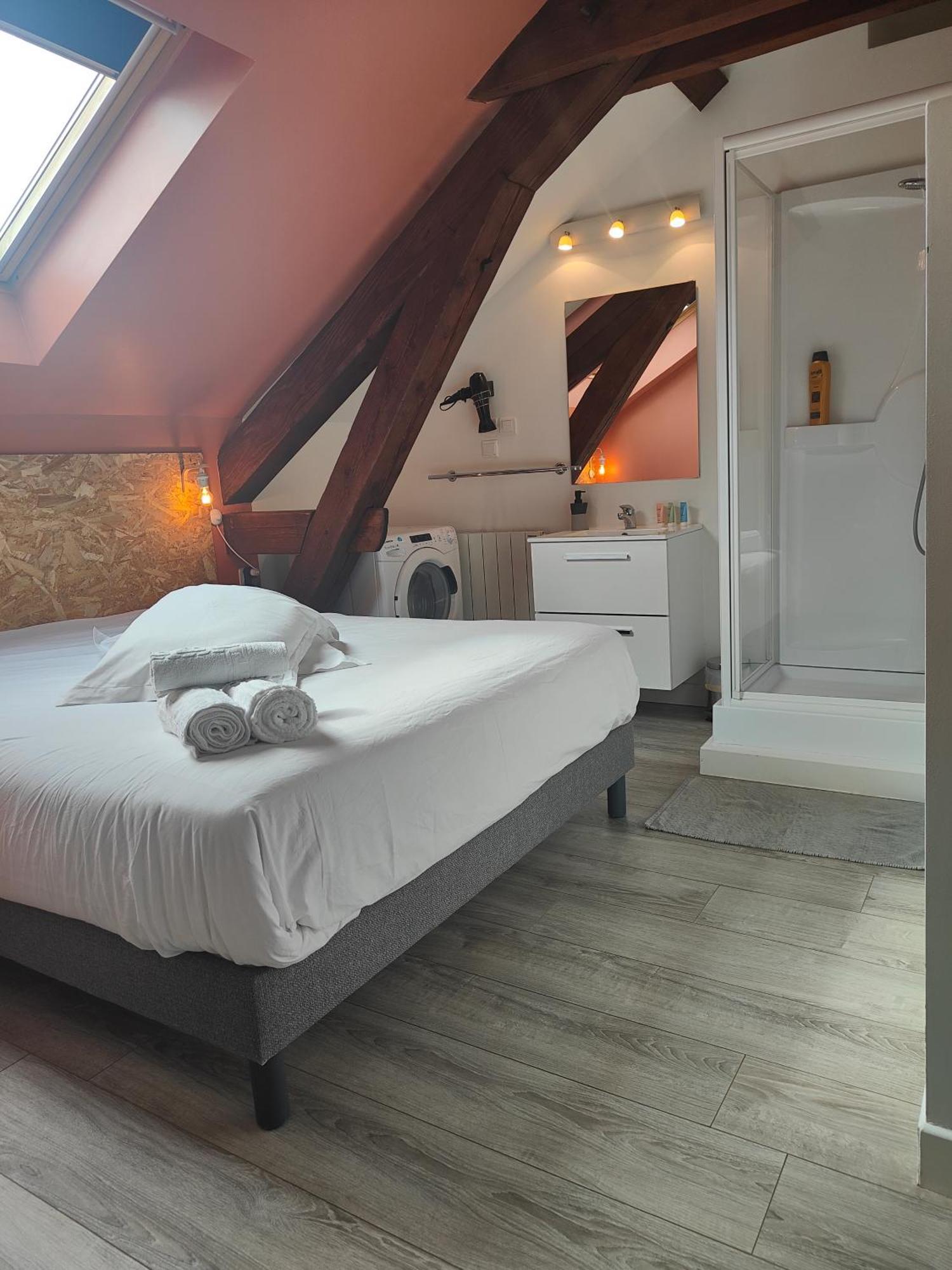 Residence Leclerc - Appartements D'Hotes - Secteur Thermal Nancy Kültér fotó