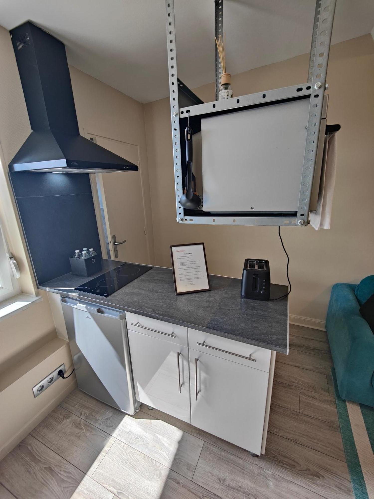 Residence Leclerc - Appartements D'Hotes - Secteur Thermal Nancy Kültér fotó